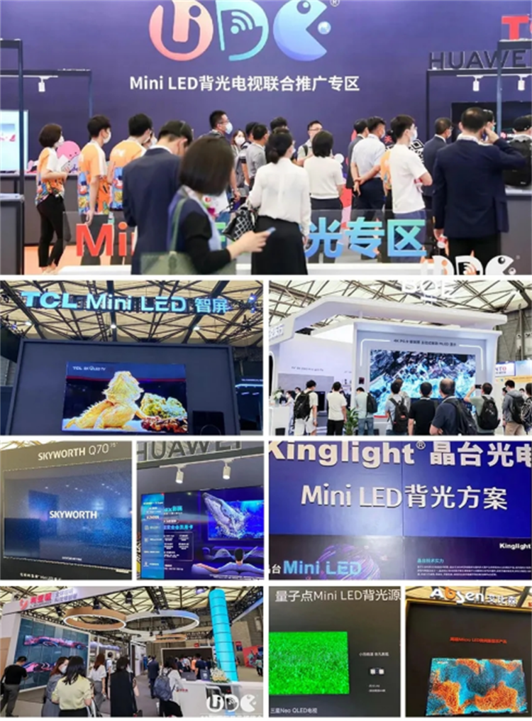 5-UDE2021見證中國大顯示時代發展(1)1417.png